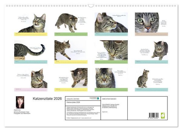 Produktbild: Katzenzitate 2026 (Wandkalender 2026 DIN A2 quer), CALVENDO Monatskalender