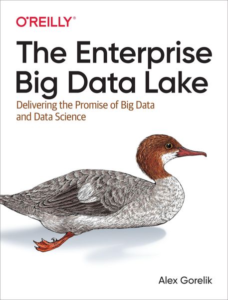 Produktbild: The Enterprise Big Data Lake
