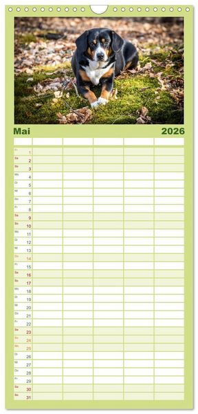 Produktbild: Familienplaner 2026 - Entlebucher Sennenhund - treue Freunde mit 5 Spalten (Wandkalender, 21 x 45 cm) CALVENDO