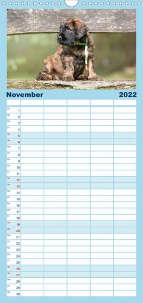 Produktbild: Briardbabys in ihren ersten Wochen - Familienplaner hoch (Wandkalender 2022 , 21 cm x 45 cm, hoch)