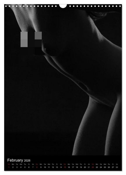 Produktbild: Erotic Silhouettes / UK-Version (Wall Calendar 2026 DIN A3 portrait), CALVENDO 12 Month Wall Calendar