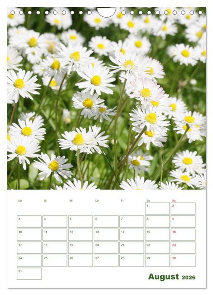 Produktbild: Wei&szlig;e Bl&uuml;ten im Gr&uuml;nen (Wandkalender 2026 DIN A4 hoch), CALVENDO Monatskalender