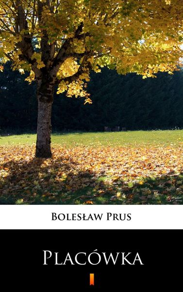Produktbild: Plac&oacute;wka