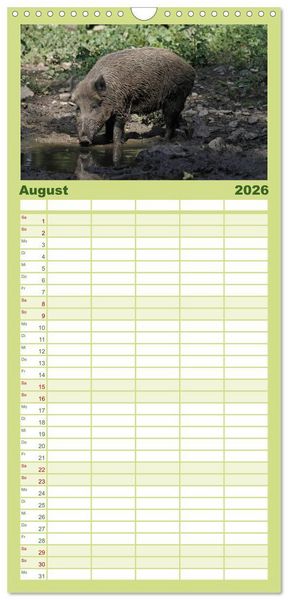 Produktbild: Familienplaner 2026 - Schweinkram - Die Wildschweine sind los mit 5 Spalten (Wandkalender, 21 x 45 cm) CALVENDO