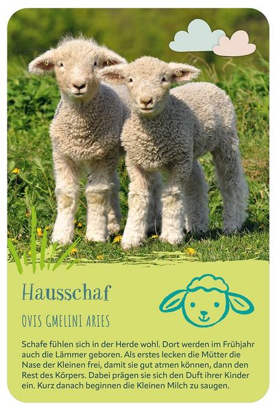 Produktbild: Die 100 s&uuml;&szlig;esten Tierbabys