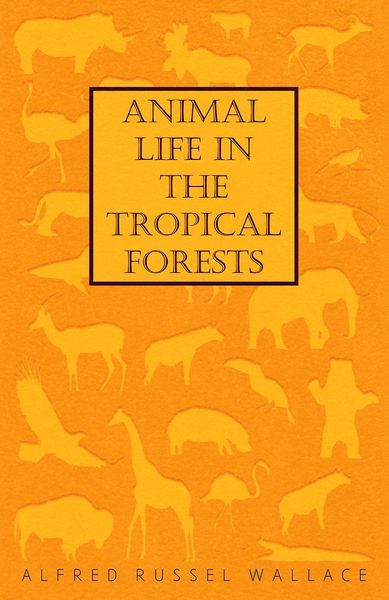 Produktbild: Animal Life in the Tropical Forests