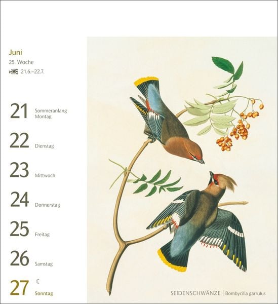 Produktbild: V&ouml;gel Postkartenkalender 2027 - Postkartenkalender mit 53 historischen Zeichnungen