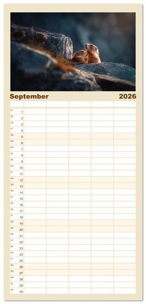 Produktbild: Familienplaner 2026 - Alpenpl&uuml;sch - Mit Murmeltieren durchs Jahr mit 5 Spalten (Wandkalender, 21 x 45 cm) CALVENDO