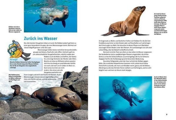 Produktbild: Entdecke die Robben