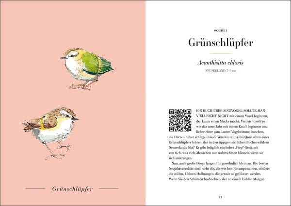 Produktbild: Der Gesang der V&ouml;gel