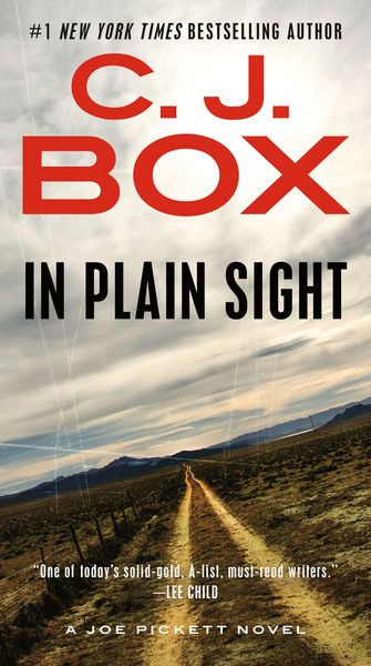 Produktbild: In Plain Sight