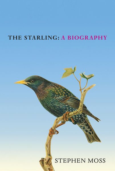 Produktbild: The Starling