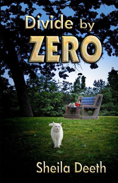 Produktbild: Divide by Zero
