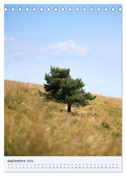 Produktbild: Arbres solitaires (Calendrier de bureau 2026 DIN A5 horizontal), CALVENDO calendrier mensuel