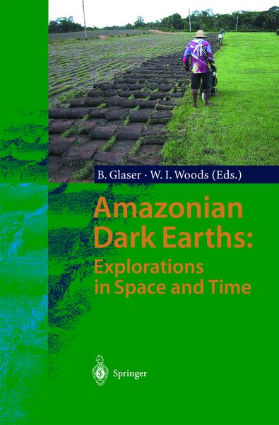 Produktbild: Amazonian Dark Earths: Explorations in Space and Time