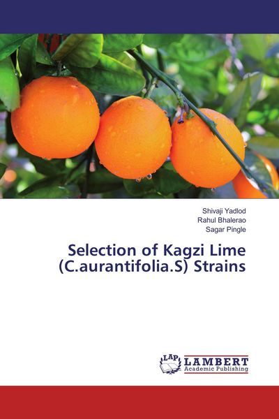 Produktbild: Selection of Kagzi Lime (C.aurantifolia.S) Strains
