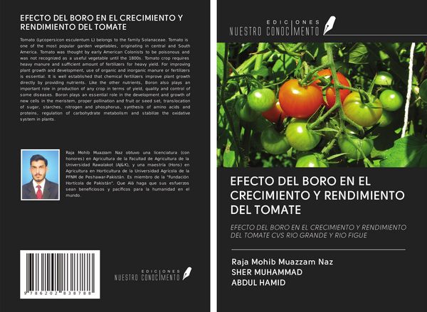 Produktbild: Efecto Del Boro En El Crecimiento Y Rendimiento Del Tomate