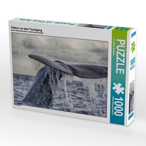 Produktbild: CALVENDO Puzzle Pottwal vor dem Tauchgang | 1000 Teile Lege-Gr&ouml;&szlig;e 64x48cm Foto-Puzzle f&uuml;r gl&uuml;ckliche Stunden
