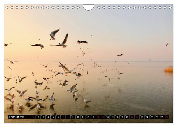 Produktbild: Das Meer bei Steinhude (Wandkalender 2026 DIN A4 quer), CALVENDO Monatskalender