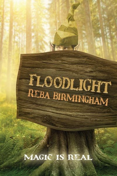 Produktbild: Floodlight