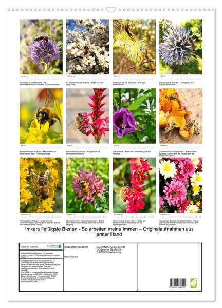 Produktbild: Imkers flei&szlig;igste Bienen - So arbeiten meine Immen &ndash; Originalaufnahmen aus erster Hand (Wandkalender 2027 DIN A2 hoch), CALVENDO Monatskalender