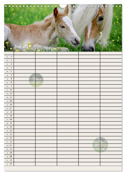 Produktbild: Haflinger Pferde - Stall- und Familienplaner 2026 (Wandkalender 2026 DIN A3 hoch), CALVENDO Monatskalender