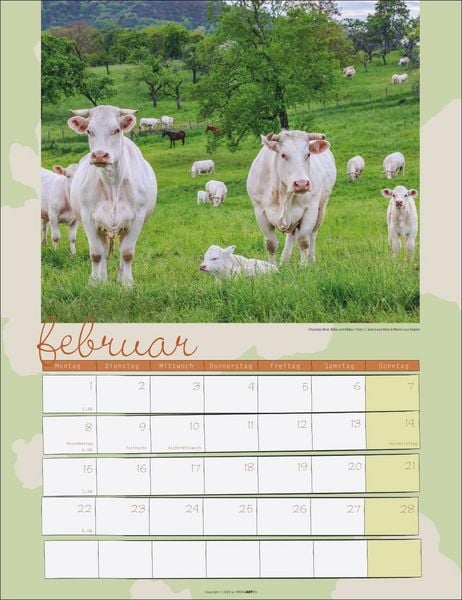 Produktbild: Kuh Kalender 2027