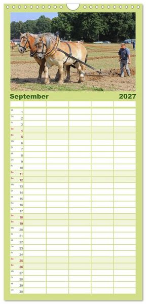 Produktbild: Familienplaner 2027 - Schwere Pferde mit 5 Spalten (Wandkalender, 21 x 45 cm) CALVENDO