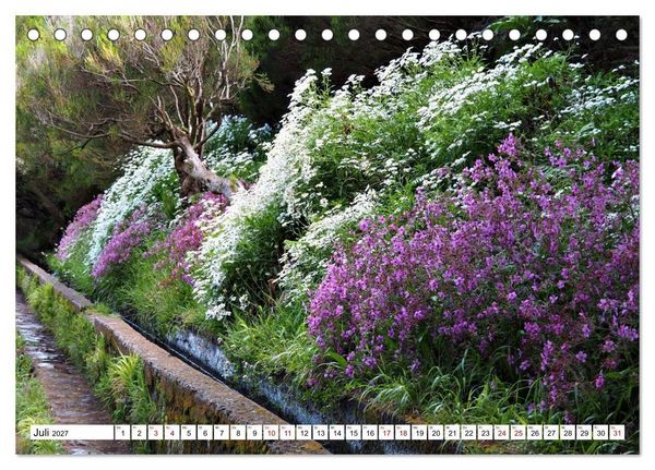 Produktbild: Bl&uuml;tenzauber auf Madeira. Wildblumen und Ziergew&auml;chse (Tischkalender 2027 DIN A5 quer), CALVENDO Monatskalender