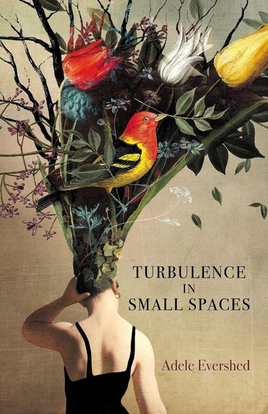 Produktbild: Turbulence in Small Spaces