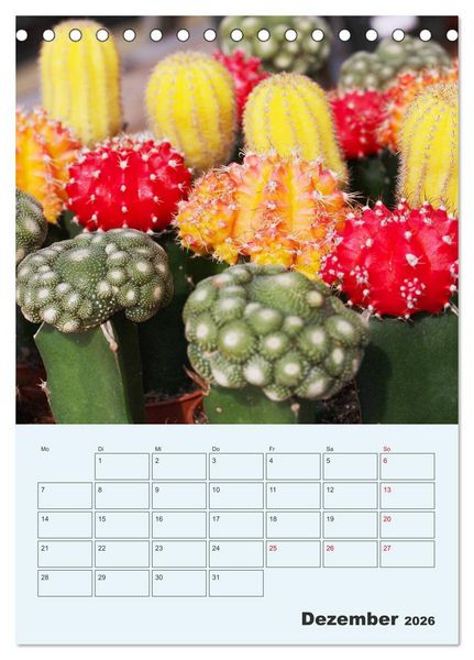 Produktbild: Wehrhafte Sukkulenten (Tischkalender 2026 DIN A5 hoch), CALVENDO Monatskalender