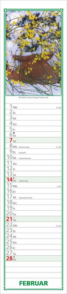 Produktbild: Paules Gartenplaner 2027