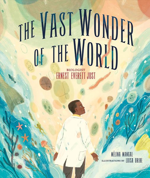 Produktbild: The Vast Wonder of the World
