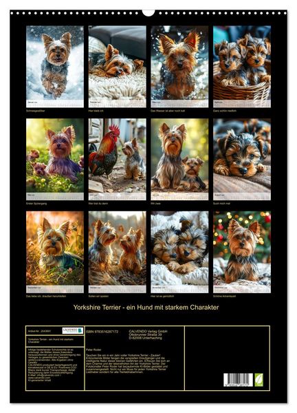 Produktbild: Yorkshire Terrier - ein Hund mit starkem Charakter (Wandkalender 2026 DIN A2 hoch), CALVENDO Monatskalender