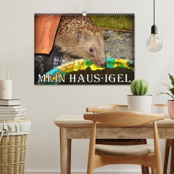 Produktbild: Mein Haus-Igel (Wandkalender 2026 DIN A3 quer), CALVENDO Monatskalender