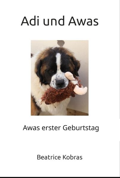 Produktbild: Adi und Awas