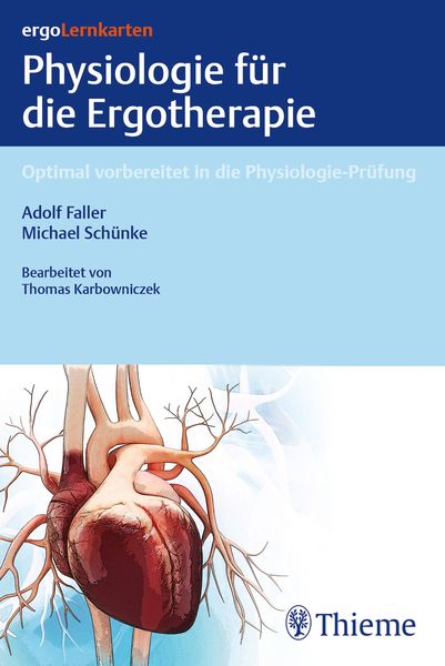 ErgoLernkarten - Physiologie für die Ergotherapie, Sonstige von Michael Schünke, Thieme, 9783132455900
