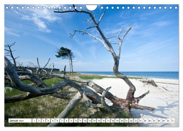 Produktbild: Fischland-Dar&szlig;-Zingst - Momente einer Reise (Wandkalender 2027 DIN A4 quer), CALVENDO Monatskalender