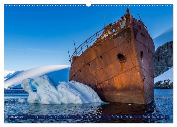 Produktbild: Antarktis Gletscher, Robben, Pinguine (hochwertiger Premium Wandkalender 2026 DIN A2 quer), Kunstdruck in Hochglanz