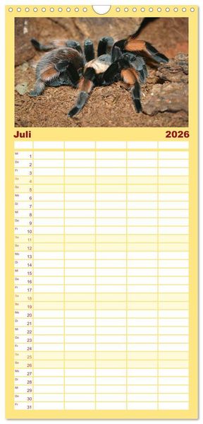 Produktbild: Familienplaner 2026 - Vogelspinnen mit 5 Spalten (Wandkalender, 21 x 45 cm) CALVENDO