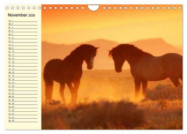 Produktbild: Wilde Pferde. Mustangs in USA (Wandkalender 2026 DIN A4 quer), CALVENDO Monatskalender