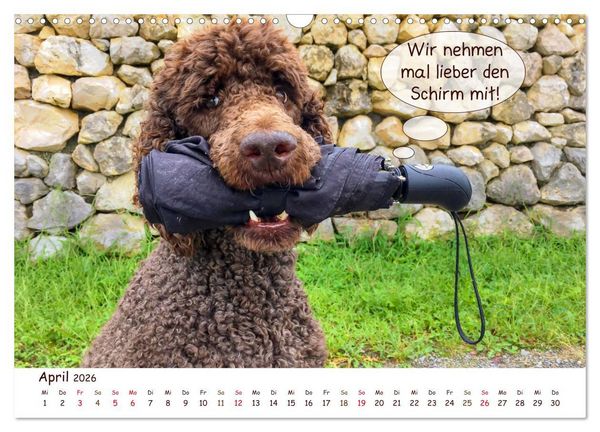 Produktbild: Frei Schnauze 2026. Was Hunde am liebsten sagen w&uuml;rden (Wandkalender 2026 DIN A3 quer), CALVENDO Monatskalender