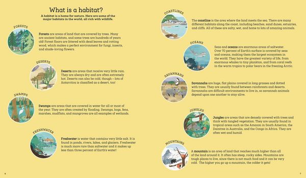 Produktbild: How to Help a Hare and Protect a Polar Bear
