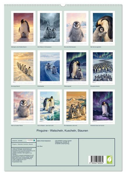 Produktbild: Pinguine - Watscheln, Kuscheln, Staunen (hochwertiger Premium Wandkalender 2027 DIN A2 hoch), Kunstdruck in Hochglanz