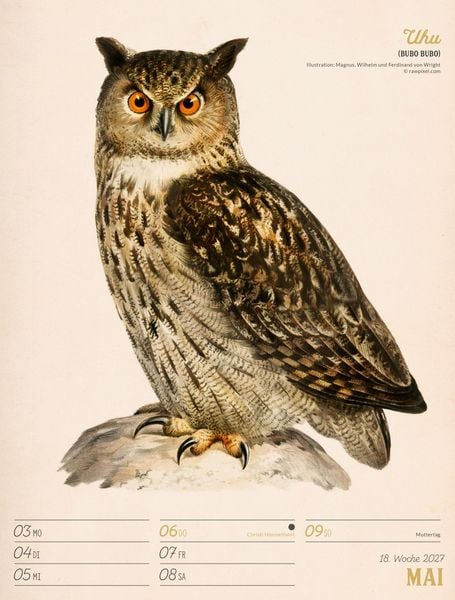Produktbild: Wunderbare Vogelwelt Wochenplaner Kalender 2027