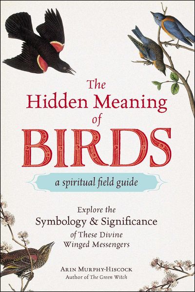 Produktbild: The Hidden Meaning of Birds--A Spiritual Field Guide