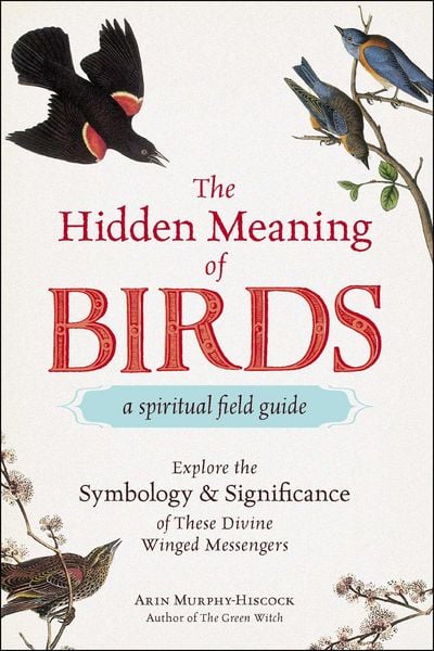 Produktbild: The Hidden Meaning of Birds--A Spiritual Field Guide
