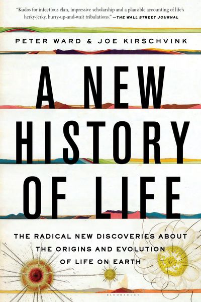 Produktbild: A New History of Life