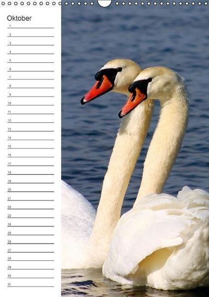 Produktbild: Malerisches Teufelsmoor (Wandkalender immerw&auml;hrend DIN A3 hoch)