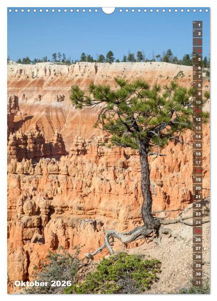 Produktbild: BRYCE CANYON Natur Pur (Wandkalender 2026 DIN A3 hoch), CALVENDO Monatskalender